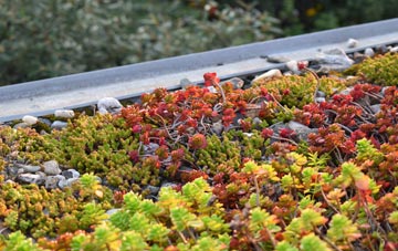 the cost of Puncknowle green roof installation
