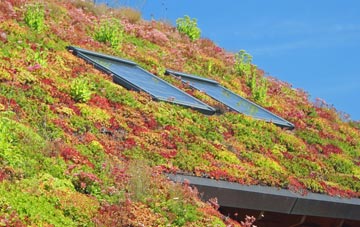 Puncknowle living roof systems