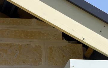 soffit repair Puncknowle