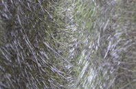 Puncknowle fibreglass roof work